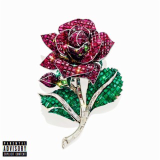 Rubi Rose lyrics | Boomplay Music