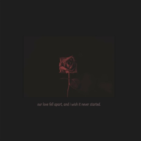 our love fell apart, and i wish it never started | Boomplay Music