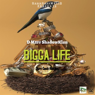 BIGGA LIFE