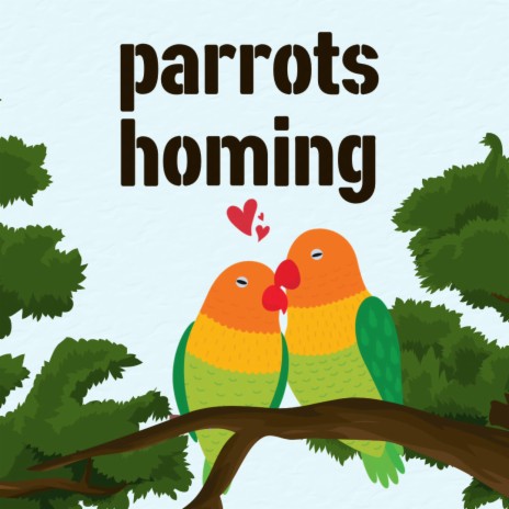 Parrots homing | Boomplay Music