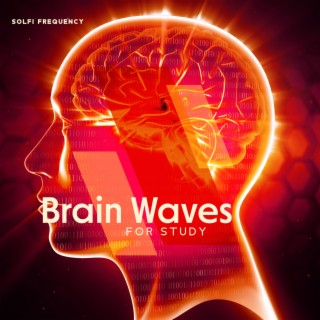 Brain Waves for Study: Mindfulness, Focus, 432 Hz for Learning