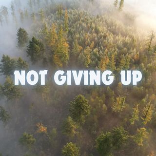 Not Giving Up