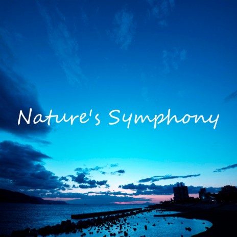 Nature's Symphony | Boomplay Music