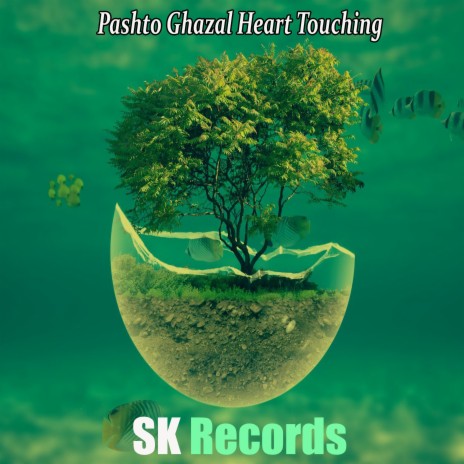 Pashto Ghazal Heart Touching | Boomplay Music