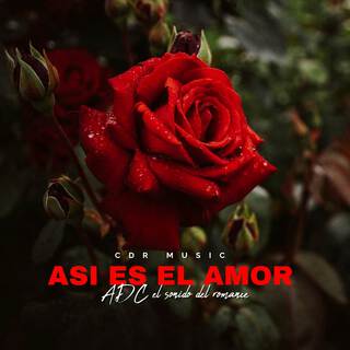 Así es el Amor lyrics | Boomplay Music