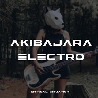 Akibajara Electro