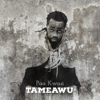 Tameawu lyrics | Boomplay Music