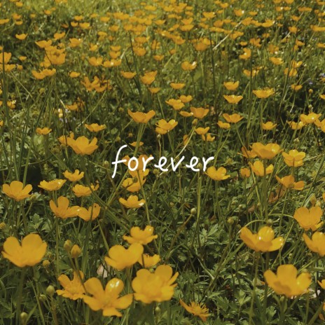 forever | Boomplay Music