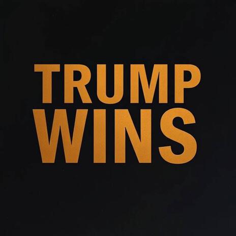 Trump Wins ft. Trump The Don | Boomplay Music