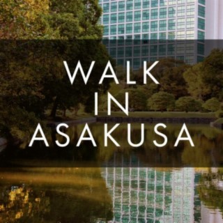 Walk in Asakusa