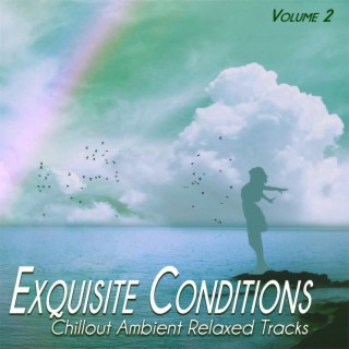 Exquisite Conditions, Vol.2 - Chillout Ambient Relaxed Songs