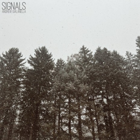 Signals | Boomplay Music