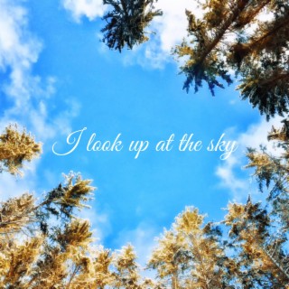 I look up at the sky