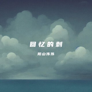 回忆的刺（电音版） lyrics | Boomplay Music