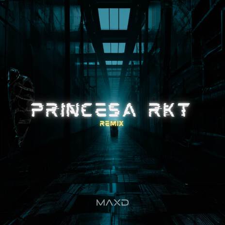 Princesa RKT (Remix) | Boomplay Music