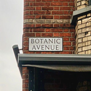 Botanic Avenue lyrics | Boomplay Music
