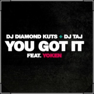 You Got It (feat. YoKen)