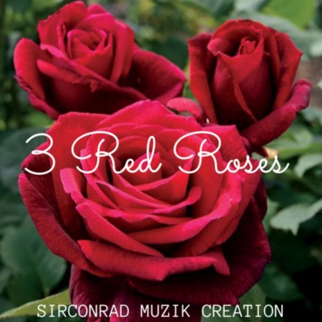 3 Red Roses