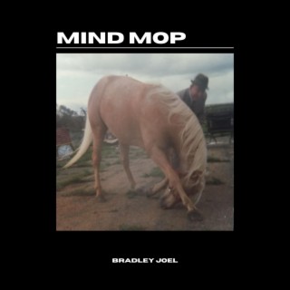 MIND MOP