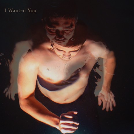 I Wanted You | Boomplay Music