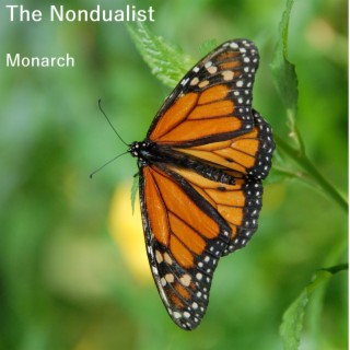 Monarch