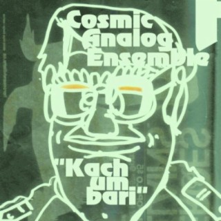 Cosmic Analog Ensemble