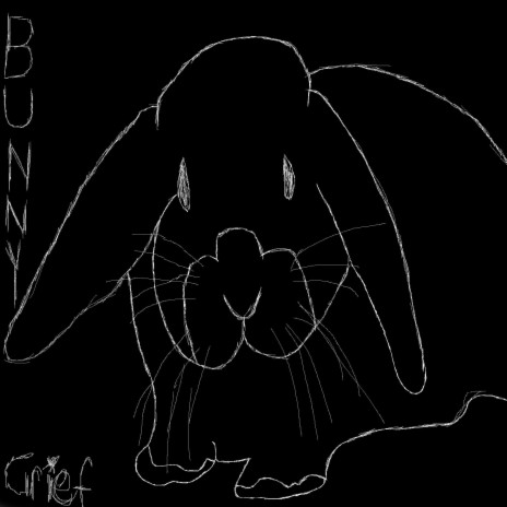 bunny | Boomplay Music