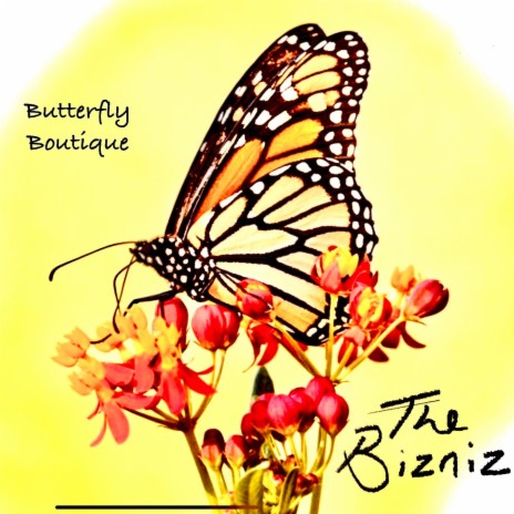 Butterfly Boutique | Boomplay Music