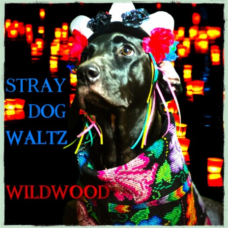 The Stray Dog Waltz | Boomplay Music