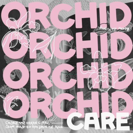 Orchid Care ft. Feiertag | Boomplay Music