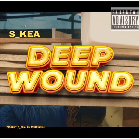 S_kea Deep Wounds | Boomplay Music