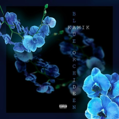Blue Orchideen | Boomplay Music
