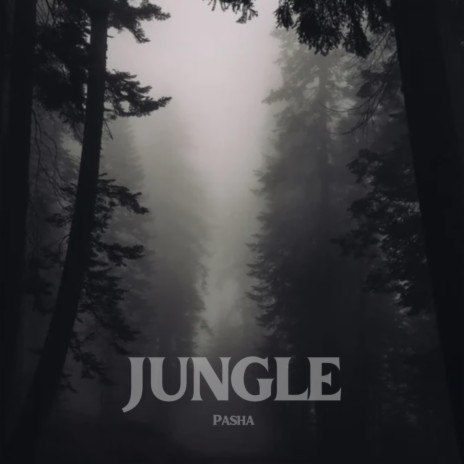 JUNGLE | Boomplay Music