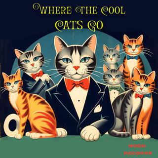 Where The Cool Cats Go