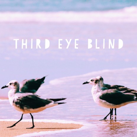 Third Eye Blind | Boomplay Music
