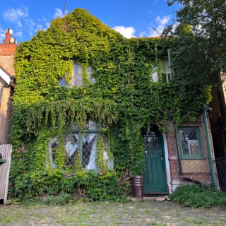 GREEN HOUSE