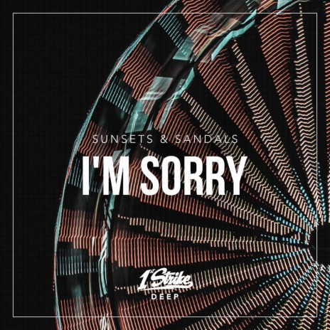 I'm Sorry | Boomplay Music