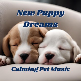 New Puppy Dreams Calming Pet Music