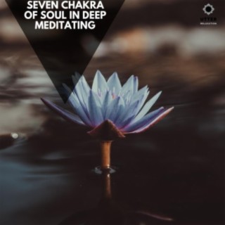 Seven Chakra of Soul in Deep Meditating