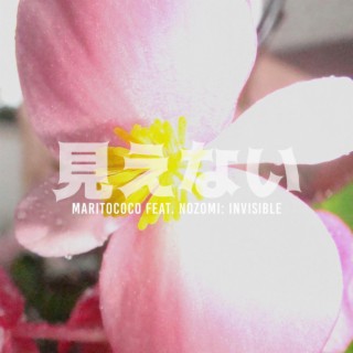 Invisible 見えない ft. Nozomi lyrics | Boomplay Music