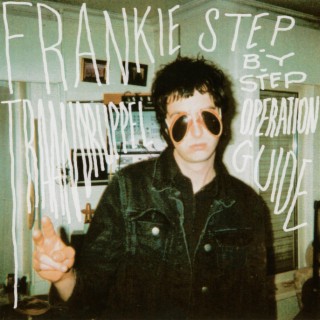 Step-By-Step Operation Guide: 5 Years Of Frankie