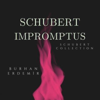 Schubert: Impromptus Complete (Schubert Collection)