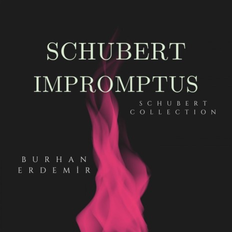 4 Impromptus, Op. 90 (D.899): No. 1 in C Minor -Allegro molto moderato ft. Franz Schubert