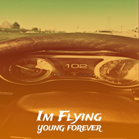 Im Flying | Boomplay Music