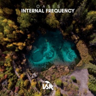 Internal Frequency