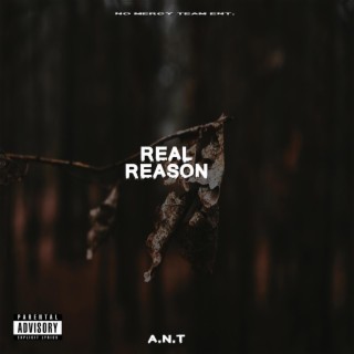 Real Reason