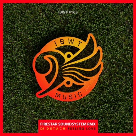 Feeling Love (Firestar Soundsystem Remix) | Boomplay Music