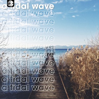 a tidal wave