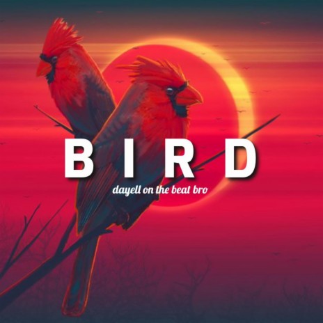 Bird | Boomplay Music