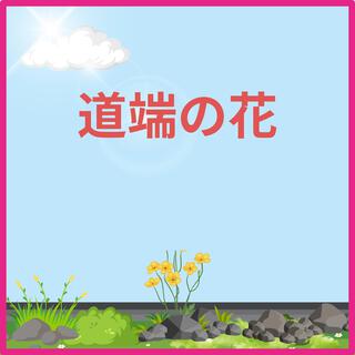 道端の花 lyrics | Boomplay Music